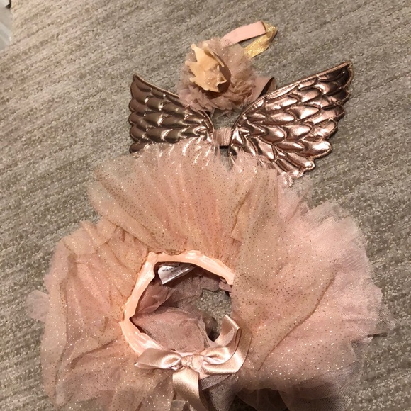 Other - Newborn angel wings with crown headband and Tutu